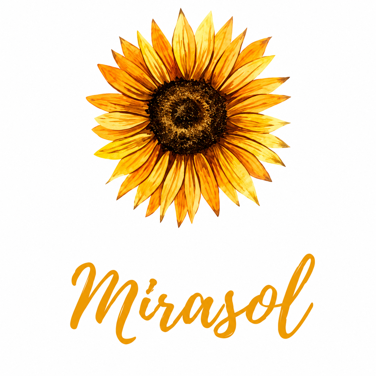 Mirasol Centro de Día